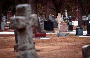 Cemetery - Edmonton, Alberta 8