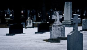 Cemetery - Edmonton, Alberta 1