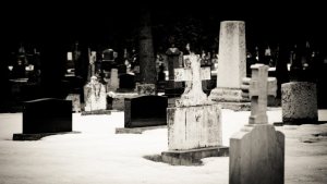 Cemetery - Edmonton, Alberta 2