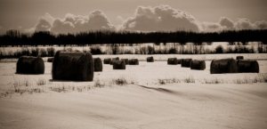 Round Bales and Clouds Stacking - near Grimshaw, Alberta 2