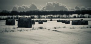 Round Bales and Clouds Stacking - near Grimshaw, Alberta 3