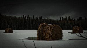 Round Bales and Clouds Stacking - near Grimshaw, Alberta 4