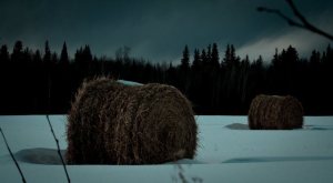 Round Bales and Clouds Stacking - near Grimshaw, Alberta 5