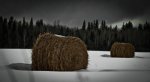 Round Bales and Clouds Stacking - near Grimshaw, Alberta 6