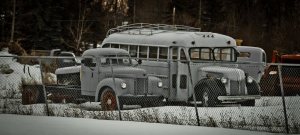 Cab and Chassis & Bus 1