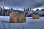 Round Bales and Clouds Stacking - near Grimshaw, Alberta 7