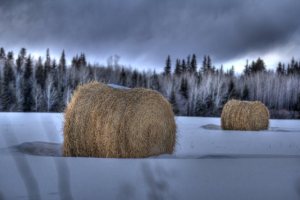 Round Bales and Clouds Stacking - near Grimshaw, Alberta 7