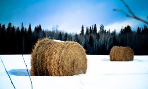 Round Bales and Clouds Stacking - near Grimshaw, Alberta 8