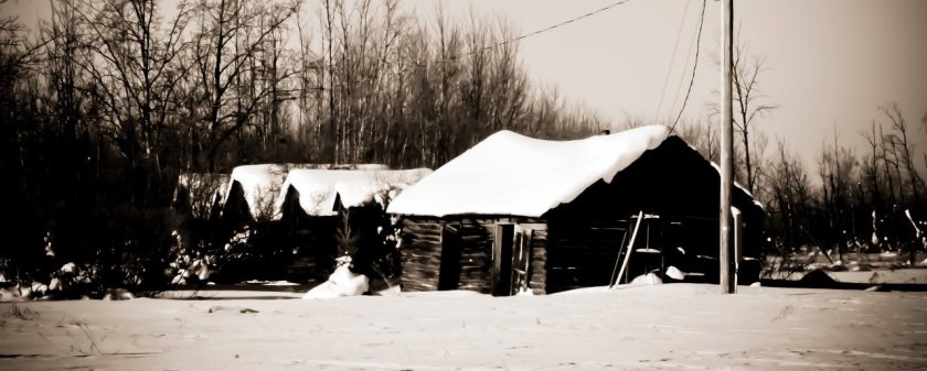 Homestead - High Level, Alberta