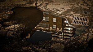 Building Reflected - Seattle, Washington 1