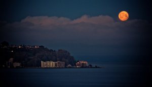 Moonrise over Elliot Bay 5 - Seattle, Washington