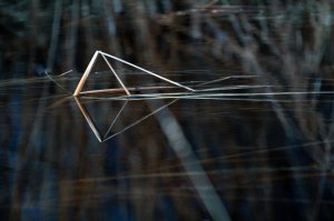 Reflection 5 - High Level, Alberta