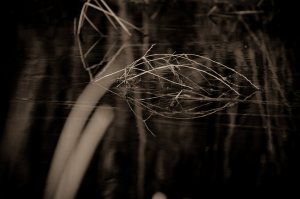 Reflection 6 - High Level, Alberta