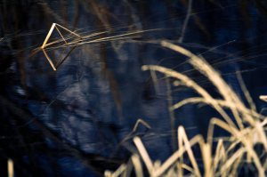 Reflection 8 - High Level, Alberta