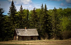 Homestead - Berwyn, Alberta