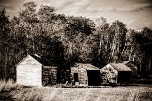 Granaries 1 - Sexsmith, Alberta