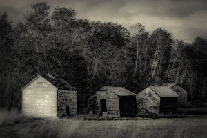 Granaries 3 - Sexsmith, Alberta