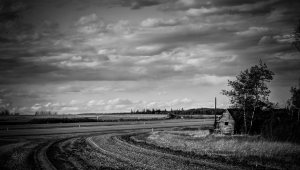 Lone Farm Building 2 - Sexsmith, Alberta