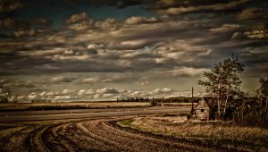 Lone Farm Building 3 - Sexsmith, Alberta