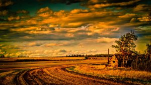 Lone Farm Building 4 - Sexsmith, Alberta