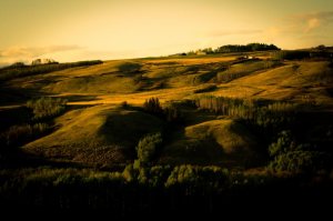 Dunvegan River Bank - Dunvegan, Alberta