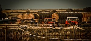 Interchangeable, Early Sixties GMC Half Tons - Fairview, Alberta