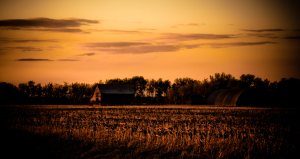 Older Barn - Fairview, Alberta