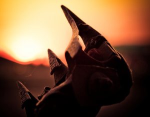 Threshing Blades 2 - High Level, Alberta