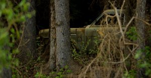 Abandoned Car 1 - Blue Hills, Alberta