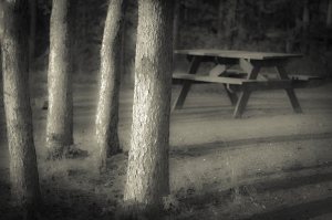 Picnic Area - Tompkins' Landing, Alberta
