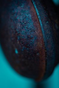 Doorknob - Fort Vermilion, Alberta