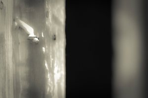 Window 6 - Fort Vermilion, Alberta