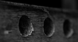 Window 5 - Fort Vermilion, Alberta