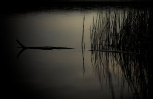 Footner Lake 6, Alberta
