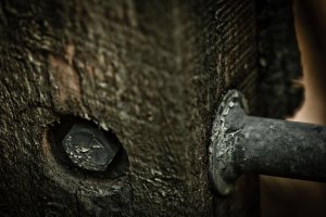 Fence Post 3 - Alexandra Falls, Northwest Territories