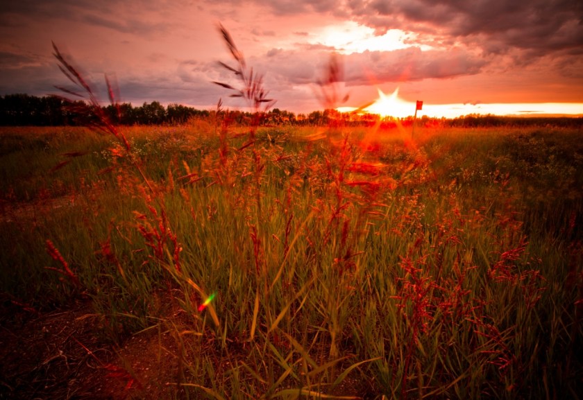 Sunset & Plant - Fort Vermilion Turnoff, Fort Vermilion, Alberta