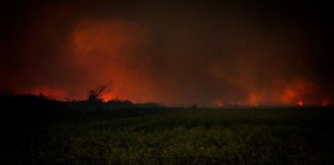 3 Fire - Wilson Prairie Road - La Crete, Alberta