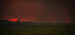 5 Fire - Wilson Prairie Road - La Crete, Alberta