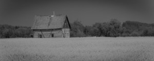 Homestead Amongst Canola 2 - Fort Vermilion, Alberta