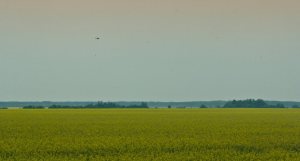 Helicopter Arrival - Slinging Water - La Crete, Alberta