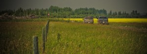 Wilson Prairie Fire - Onlookers, La Crete, Alberta