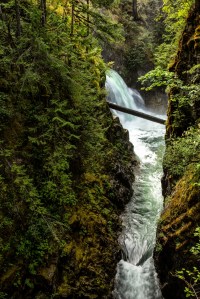 Gorge - Englishman River Falls, British Columbia