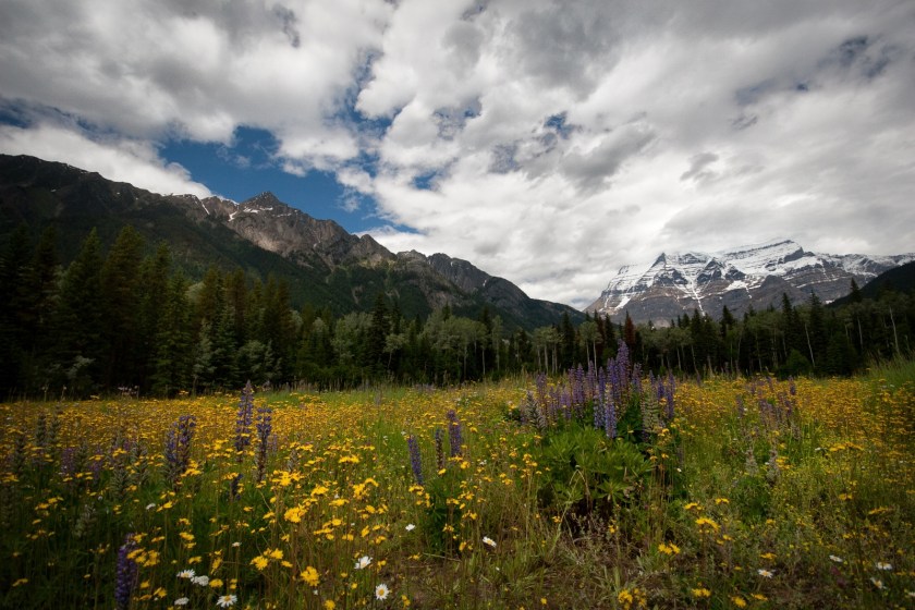 Mount Robson's Valley