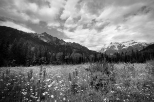 Robson Valley B/W - Mount Robson, British Columbia