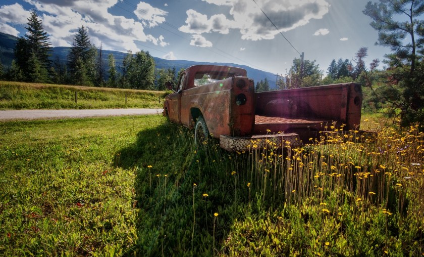 Ford Among Fords - Vavenby, British Columbia