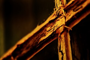 Brace 2 - Fort Vermilion, Alberta