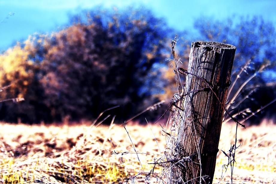 Fence Post 1