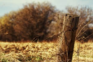 Fence Post 3