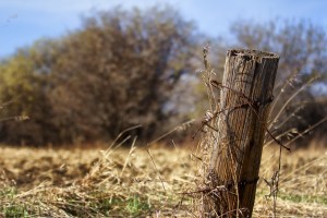 Fence Post 4