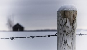 Fence Post and Homestead